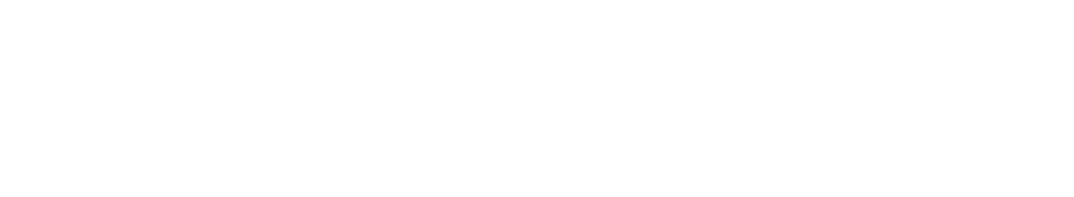 Evertise